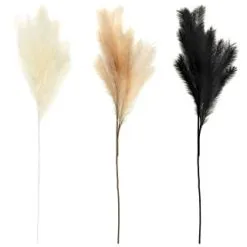 B&M Pampas Stem - Black 7 B&M Pampas Stem - Black -Furniture shop 372800 395541 394382 pamas stem group 2