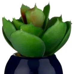 B&M Small Succulent -Furniture shop 380107 small succulent 6