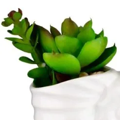 B&M Scandi Shore Small Shell Succulent -Furniture shop 380110 small shell succulent 2