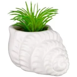 B&M Scandi Shore Small Shell Succulent -Furniture shop 380110 small shell succulent 6