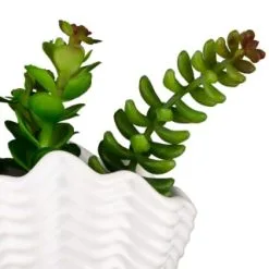 B&M Scandi Shore Small Shell Succulent -Furniture shop 380110 small shell succulent 8