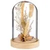 B&M Dried Flowers In Cloche - Natural -Furniture shop 380163 dried flowers in cloche