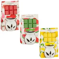 B&M Oil Burner & Wax Melt Set - Watermelon -Furniture shop 380472 380475 380478 oil burner wax melt set group