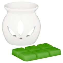B&M Oil Burner & Wax Melt Set - Watermelon -Furniture shop 380475 oil burner wax melt set watermelon group
