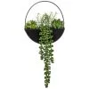 B&M Eden Life Round Trailing Plant 2 B&M Eden Life Round Trailing Plant -Furniture shop 380727 black hanging trailing plant
