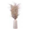 B&M Pampas In White Vase -Furniture shop 387577 real pampas in white pot