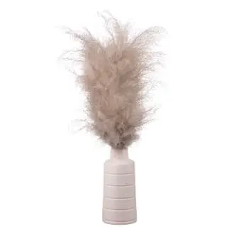 B&M Pampas In White Vase 3 B&M Pampas In White Vase