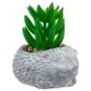 Bloom Mini Animal Succulent - Hedgehog -Furniture shop 392859 mini animal succulent
