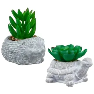 Bloom Mini Animal Succulent - Hedgehog 4 Bloom Mini Animal Succulent - Hedgehog - Image 2