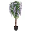 Bloom Wysteria Tree In Pot - Purple
