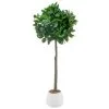 Bloom Premium Bay Tree 1 Bloom Premium Bay Tree -Furniture shop 392873 premium bay tree