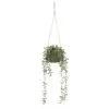 B&M Hanging Foliage In Green Ceramic Pot -Furniture shop 394335 hanging green pot foliage