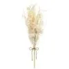 B&M Dried Flower Bunches - Pink 1 B&M Dried Flower Bunches - Pink -Furniture shop 394378 neutral dried bunches 3