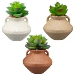 B&M Small Succulent Vase - Orange 7 B&M Small Succulent Vase - Orange -Furniture shop 394662 small vase succulent group