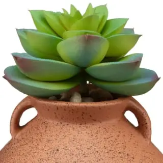 B&M Small Succulent Vase - Orange 4 B&M Small Succulent Vase - Orange - Image 2