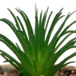 B&M Small Succulent Pot - Stone -Furniture shop 394663 small succulent stone 2