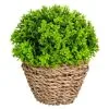 B&M Bush In Seagrass Pot -Furniture shop 394693 bush in seagrass pot