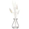 B&M Natural Dried Flowers In Vase -Furniture shop 394703 natrual dried flowers in vase