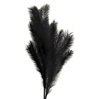 B&M Pampas Stem - Black 4 B&M Pampas Stem - Black - Image 2